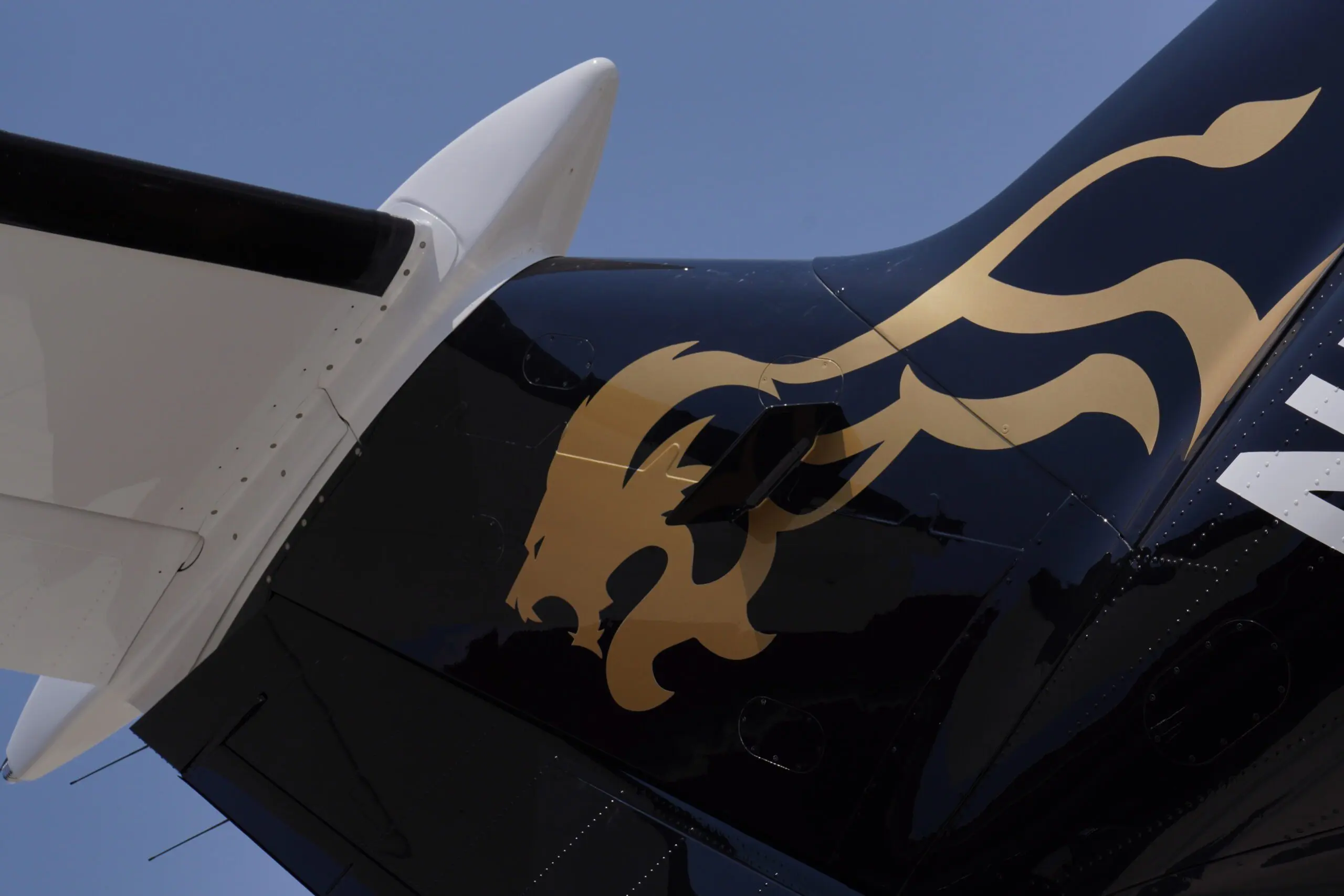 Sprint Bach Aviation, Idaho Charter Flights, Aviation,