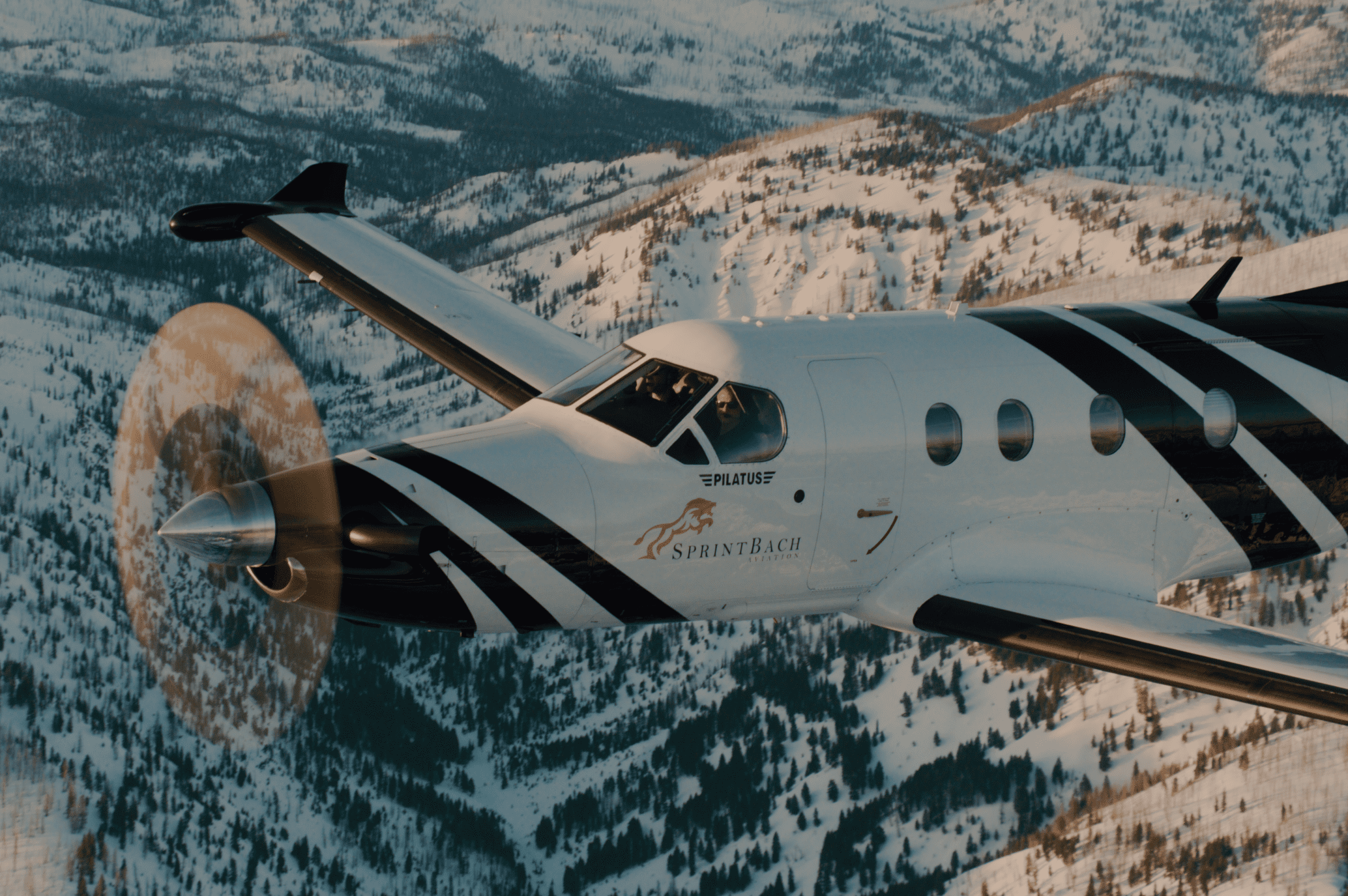 Sprint Bach Aviation, Idaho Charter Flights, Aviation,
