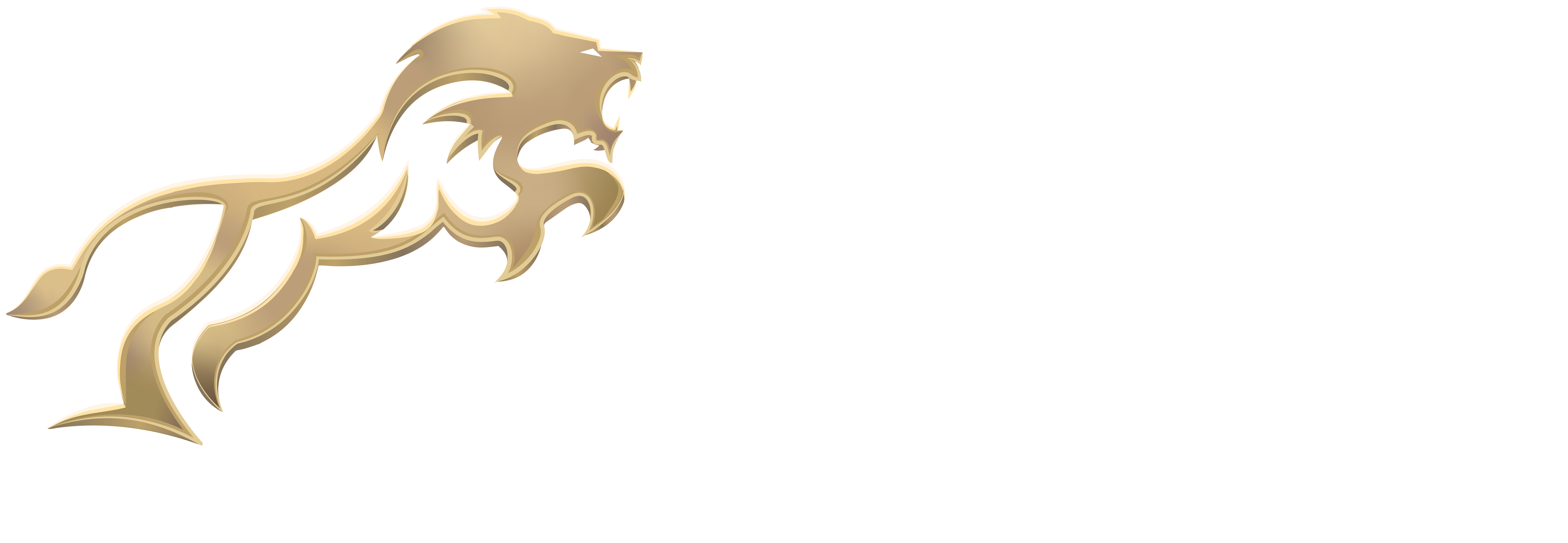 SprintBach Aviation